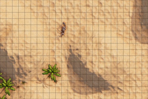 Producto - Desierto 1 L