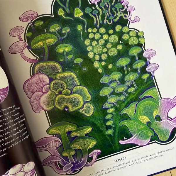 Miniatura de producto - 7