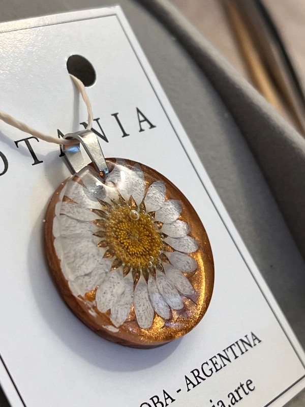 Producto - Margarita 13 - 1