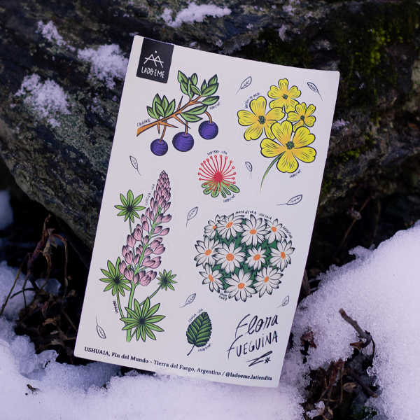 Producto - Planchita Stickers Flora - 0