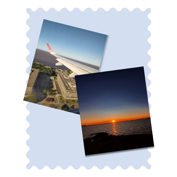 Producto - Packs de 12 Imanes