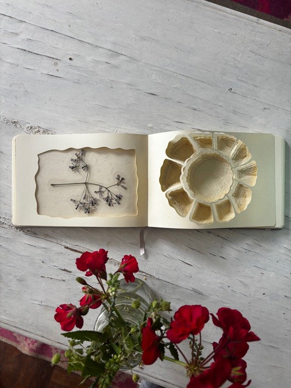 Producto - Libro Ramos