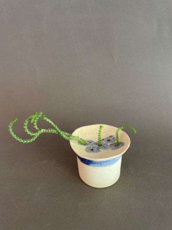 Producto - PORTA BROTES