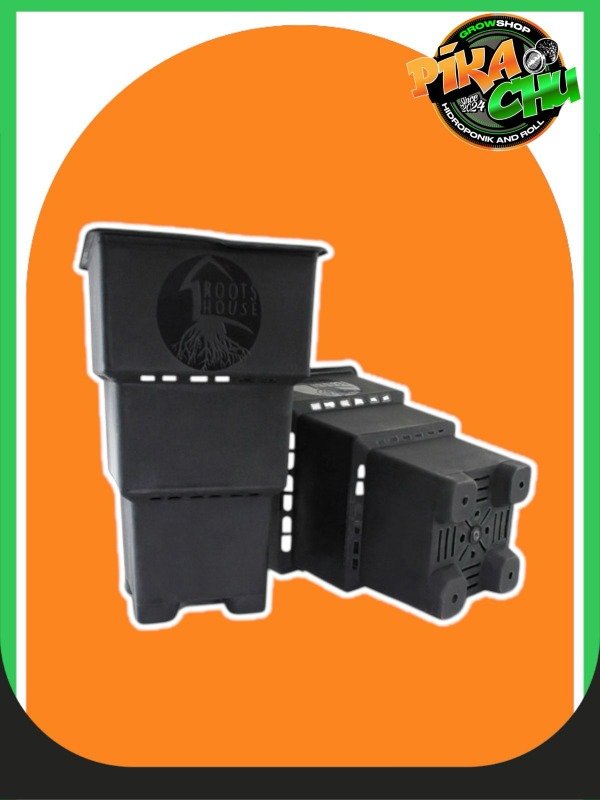Producto - Roots House