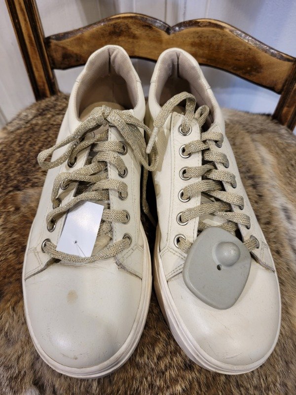 Producto - Zapatillas GB crudas cordones brillos- Talle 37- PRECIO:34X - 1