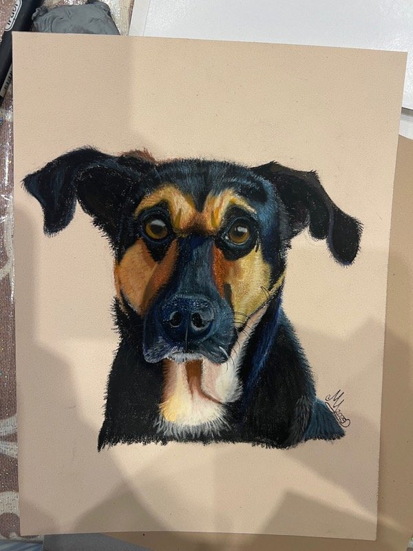 Producto - Retrato de mascota con pastel tiza - 0
