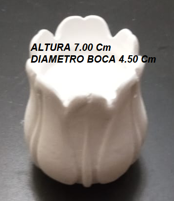 Producto - TULIPAN