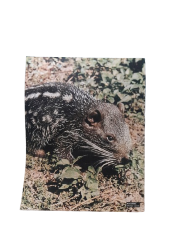 Miniatura de producto - 7