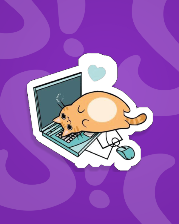Producto - Gatito dormido en laptop