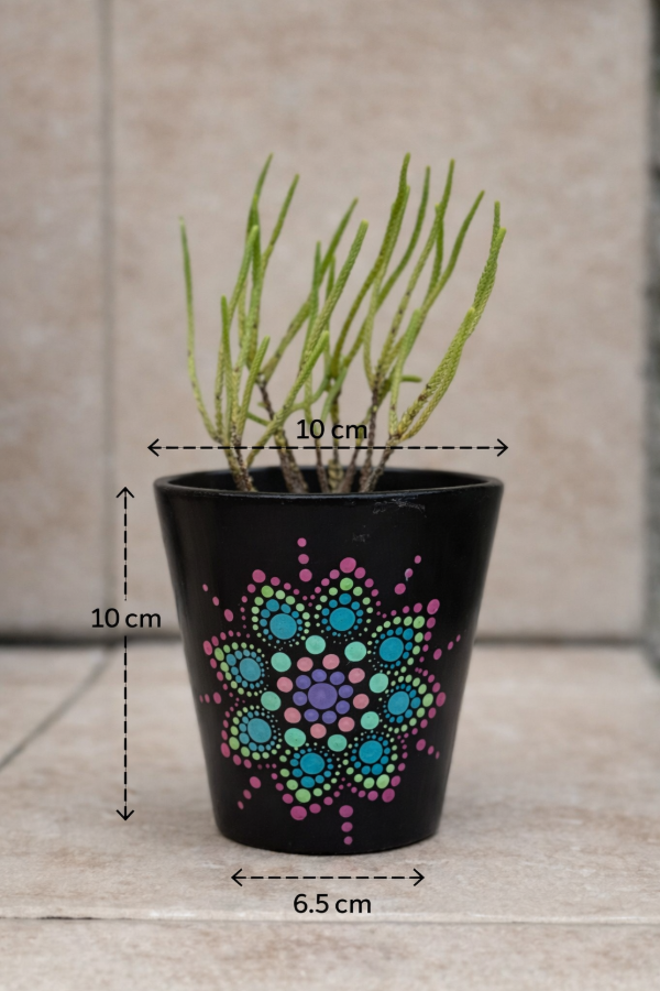 Producto - Maceta Número 10 Icono (Lista para regalar)