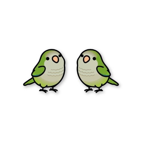 Producto - Aros pasantes - Cotorra