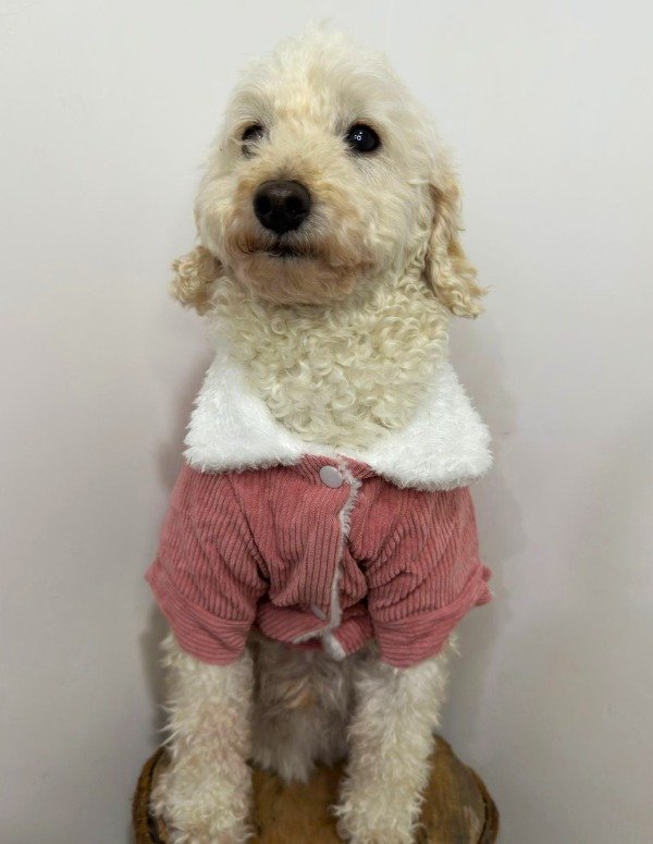 Producto - Campera corduroy