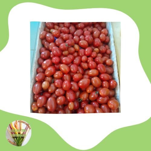 Producto - Tomates cherry