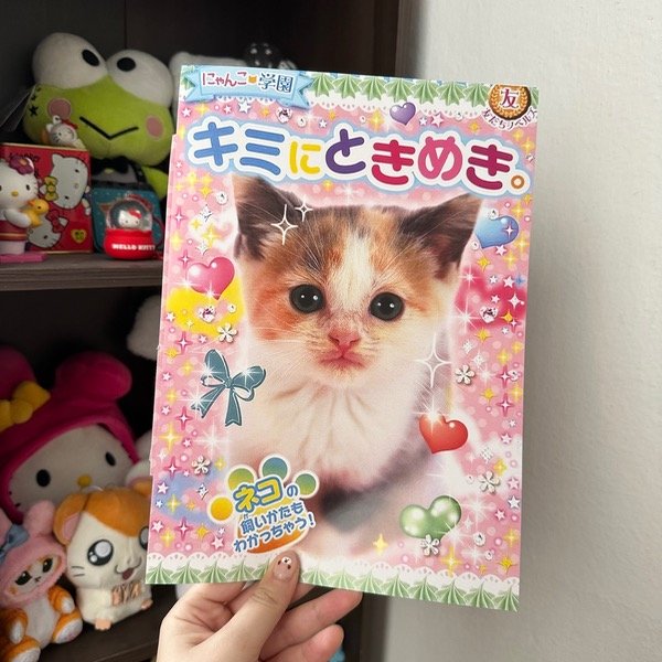 Producto - Print Gato