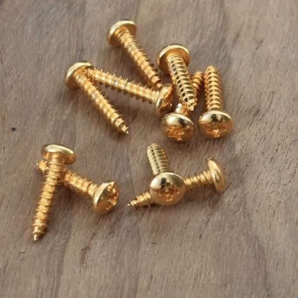 Producto - Tornillos Cabeza Fijadora de Acero inoxidable Bañados en Oro Standard por unidad