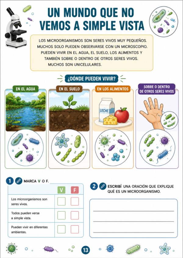 Producto - Vida de los Microorganismos - 11