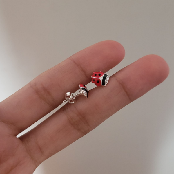 Producto - Aros mariquita