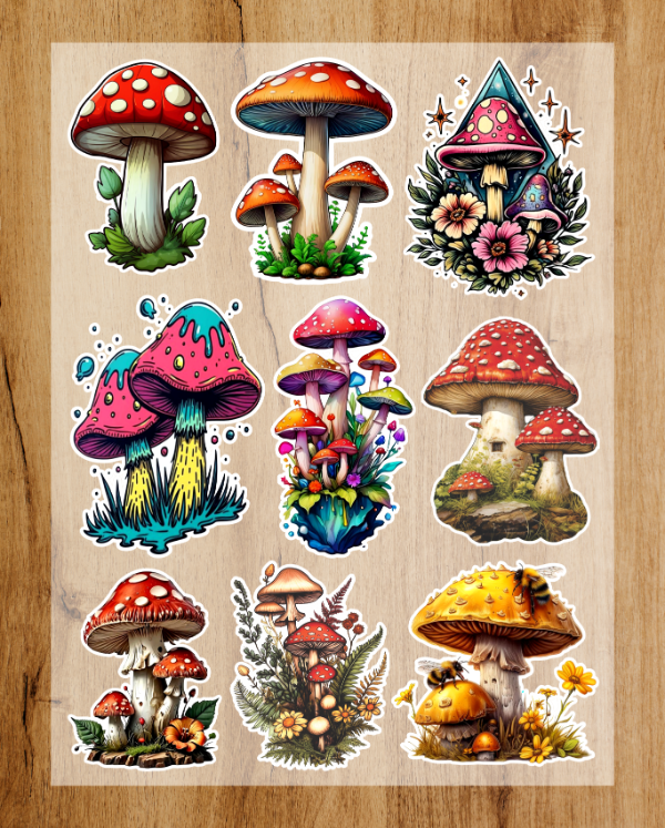 Producto - HONGOS - PLANCHA DE 33X25