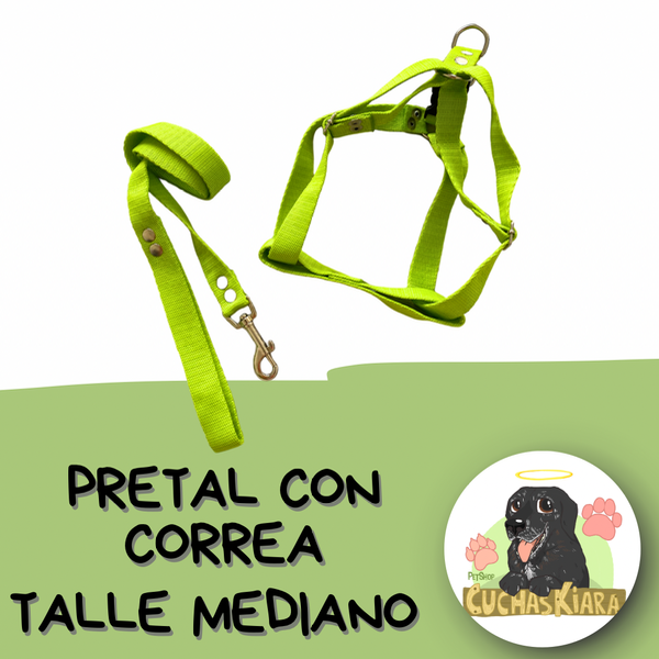 Producto - Pretal y Correa Lisos Talle Mediano