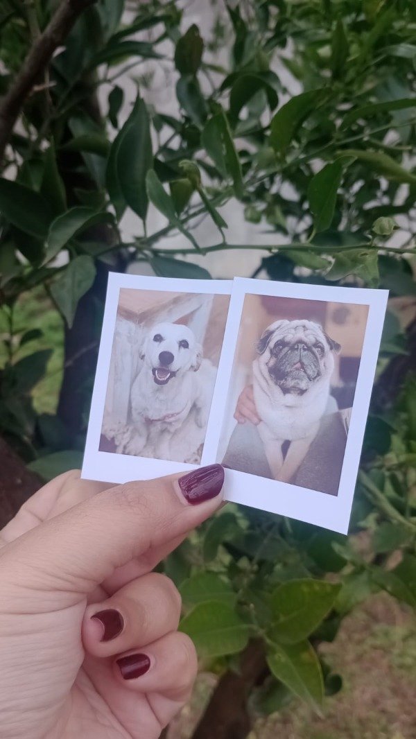 Producto - Fotos