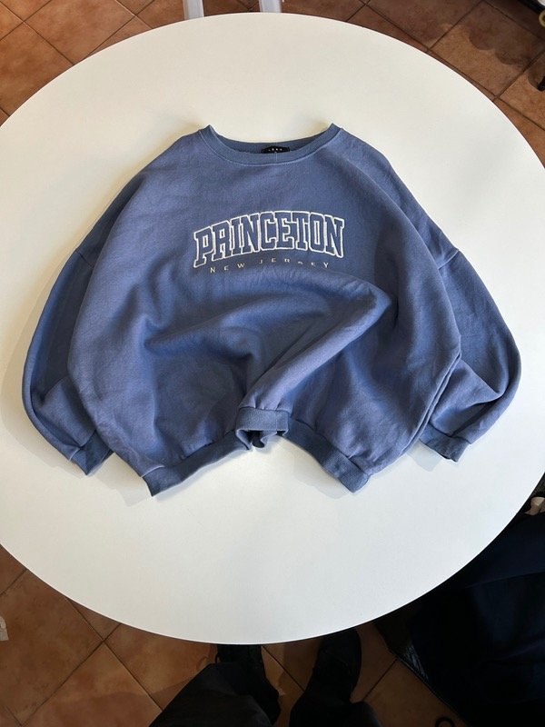 Producto - Crewneck Lego Princeton (M amplio)