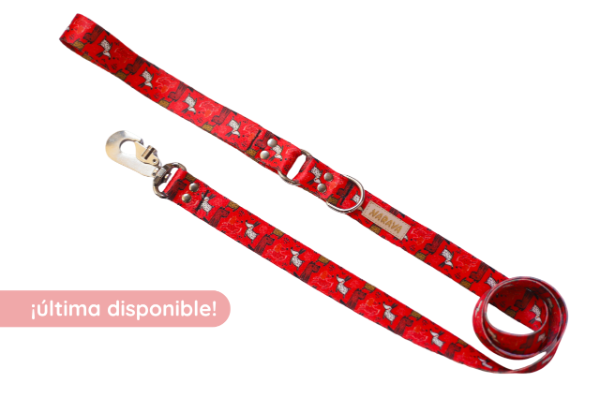 Producto - Correa Perritos