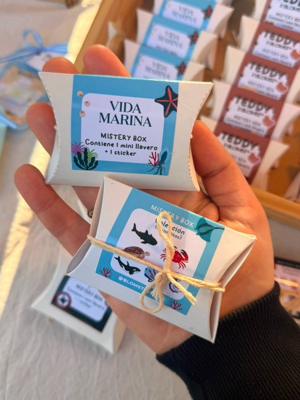 Producto - Mistery Box Vida Marinaa