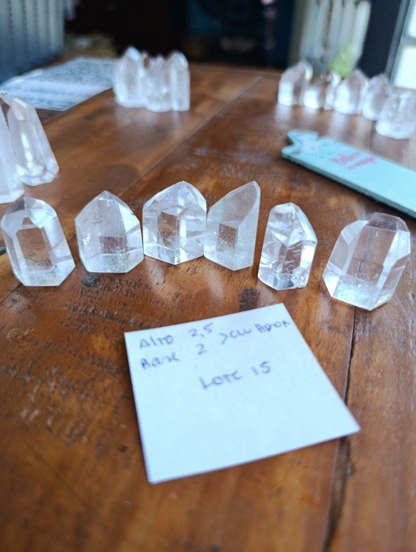 Producto - Lote 15 puntas Tameana x6