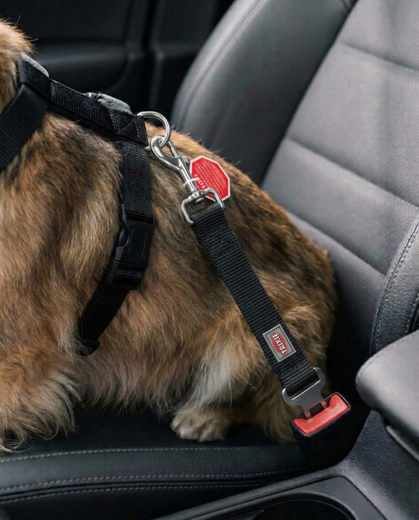 Producto - CORREA DE SEGURIDAD PARA AUTO