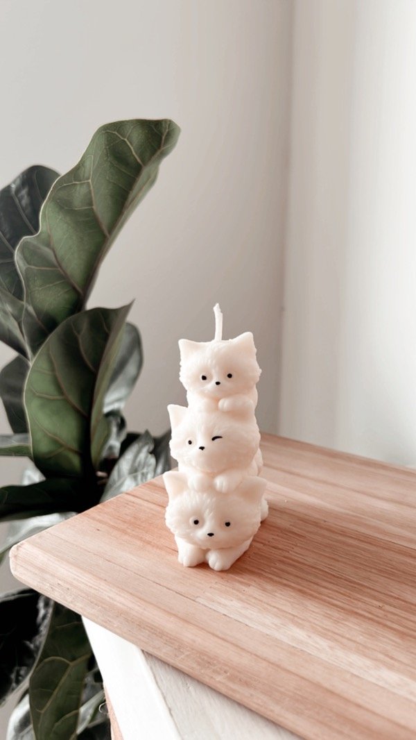Producto - Gatitos x3