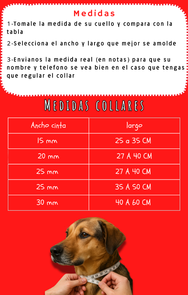 Producto - Collar - 3