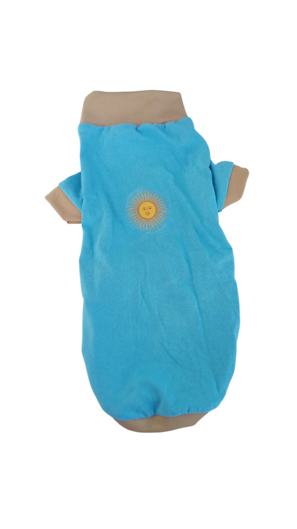 Producto - Pijama Remera sol patrio celeste