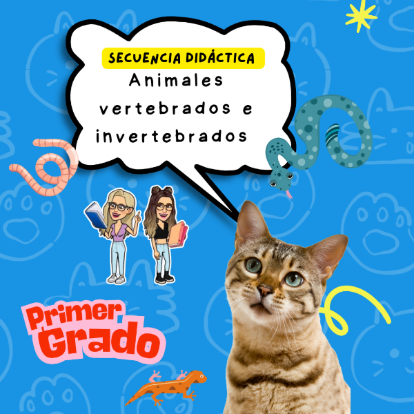 Producto - SECUENCIA DIDÁCTICA: ANIMALES VERTEBRADOS E INVERTEBRADOS