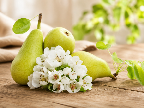 Producto - Liquido para difusor ambiental Flores Blancas y Peras