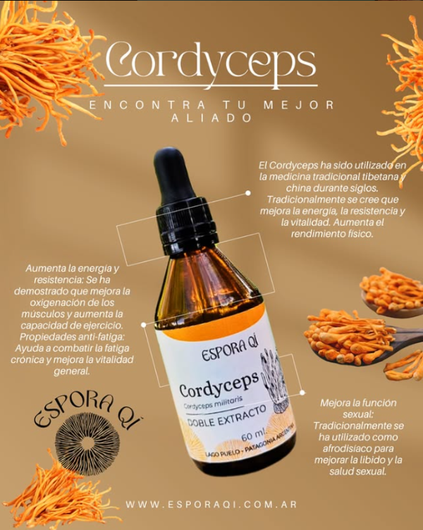 Producto - Cordyceps
