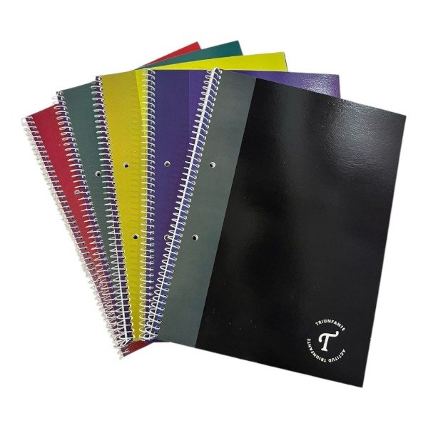 Producto - Cuaderno Universitario Triunfante Línea Divididos Cuadriculado x 80 hj