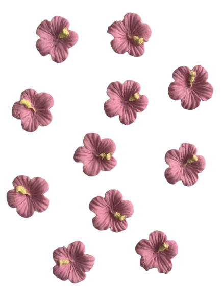 Producto - Flores tropicales rosas figuras pasta de azúcar comestible x12un
