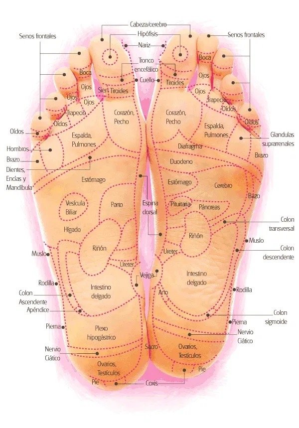 Producto - REFLEXOLOGIA - 2