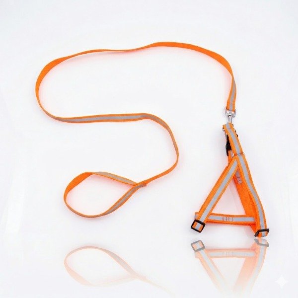 Producto - Conjunto Cinta Reflectiva 2,5 25452 Pet Plast