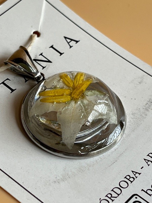 Producto - Variedad 6 Solanacea