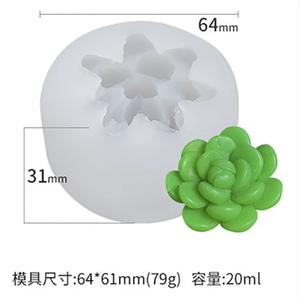 Producto - Molde Suculenta 1J5