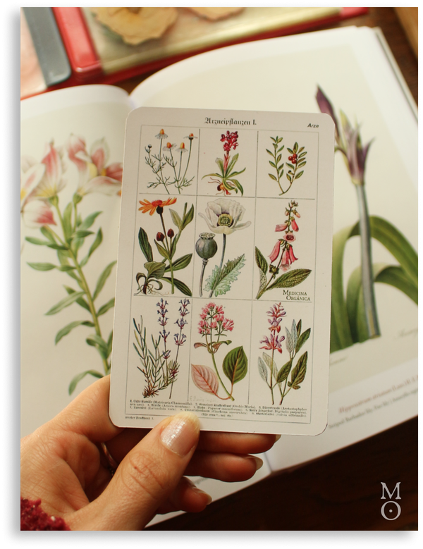 Producto - Imán - cuadro de flores