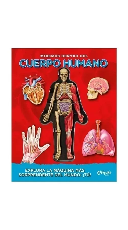 Producto - Miremos dentro del cuerpo humano