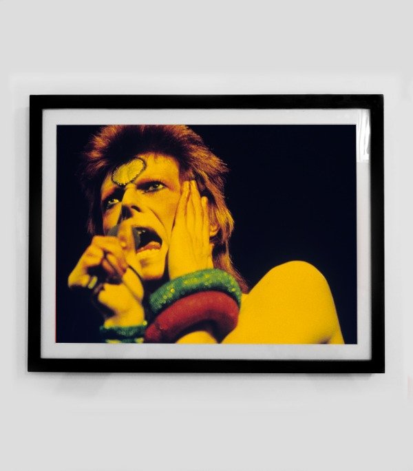 Producto - DAVID BOWIE (Nro 80)