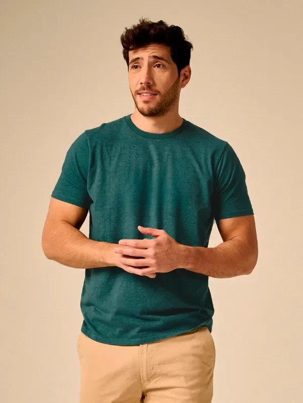 Producto - BASICA VERDE