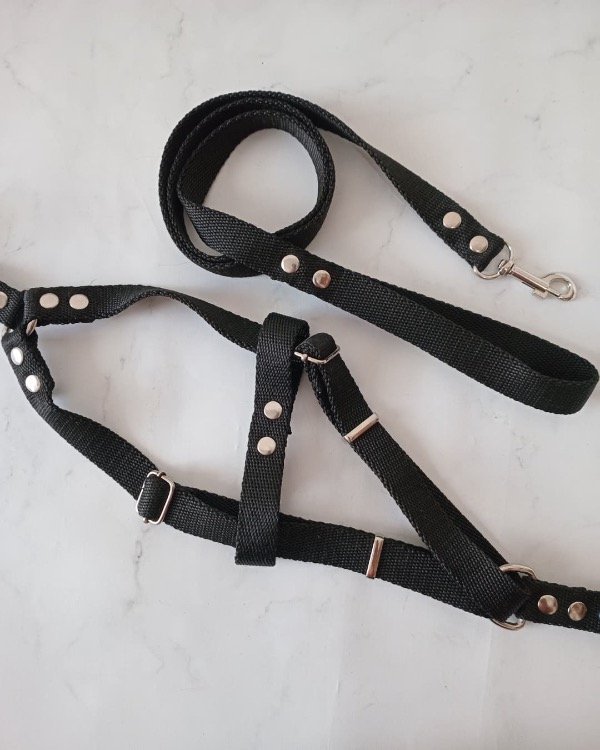 Producto - Combo pechera + correa S y M - 7