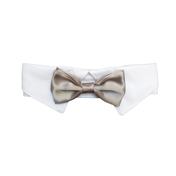 Producto - Cuello y Moño Burgues Plateado