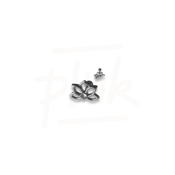 Producto - HELIX ACERO LOTO