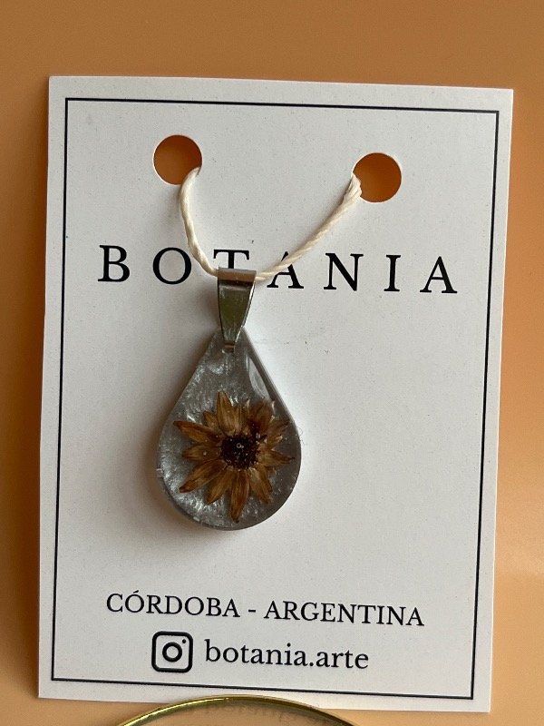 Producto - Semilla 7