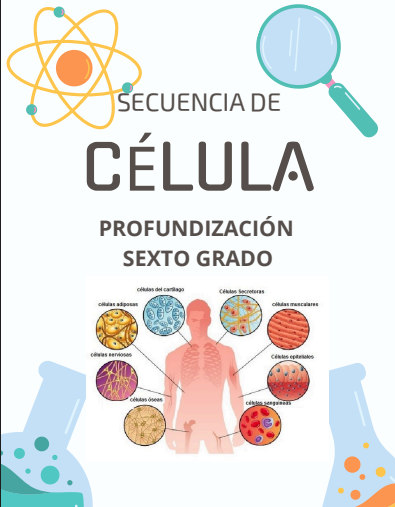 Producto - Diversidad Celular